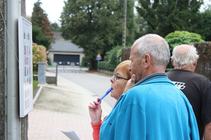 Image 13