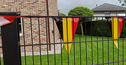 Image 10