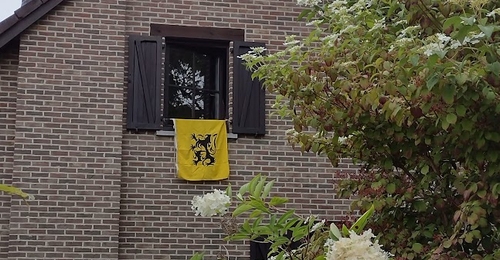 Image 12