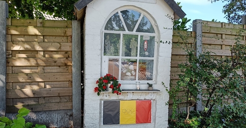 Image 15