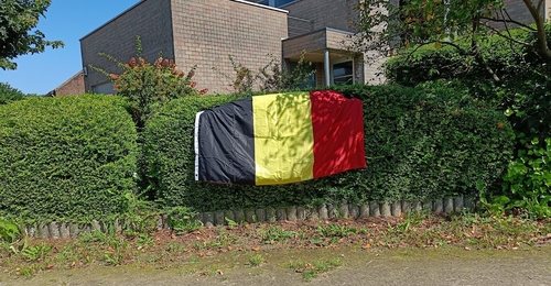 Image 21