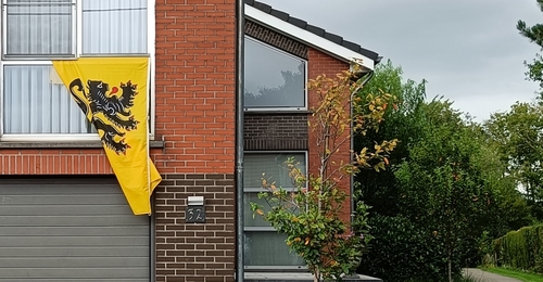 Image 9
