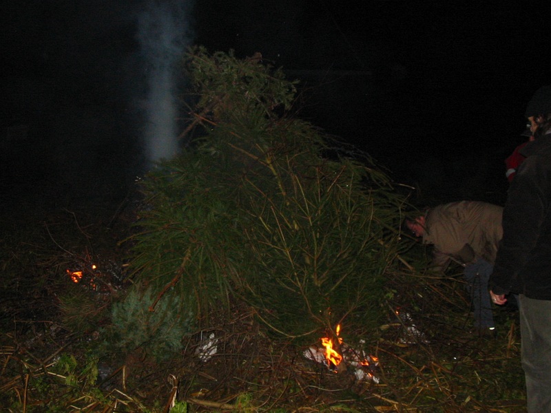 Image 14
