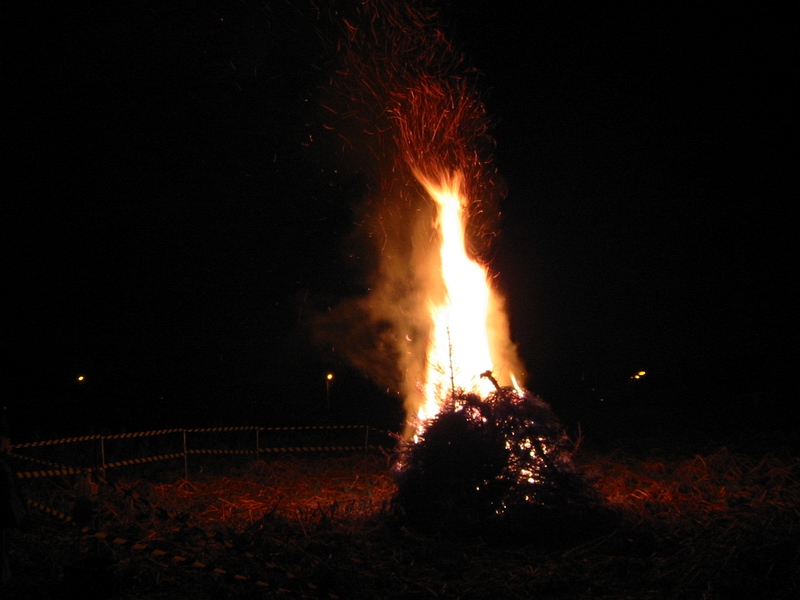 Image 15